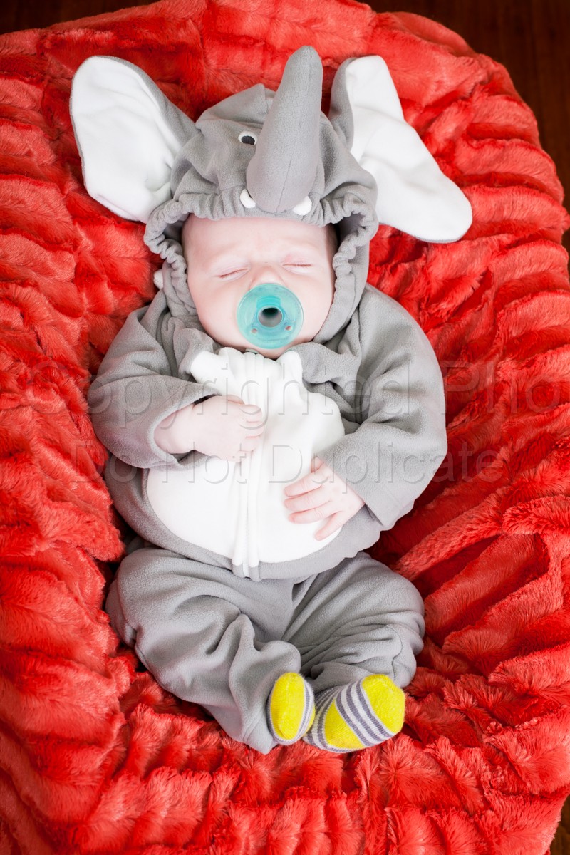 A Growing Family | Grix_Halloween_2013-30.jpg